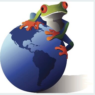 Capture d’écran grenouille.jpg